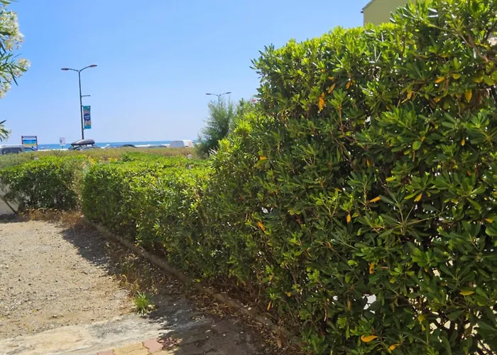 Les Pieds Dans L'eau * Нарбонна